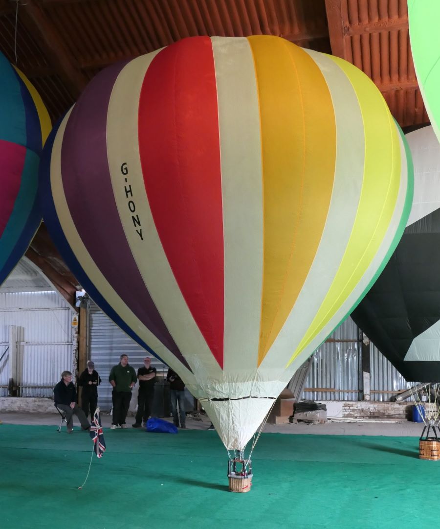 Balloon model G-HONY - Honey